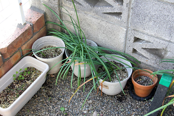 f:id:takahikonojima:20190504181502j:plain