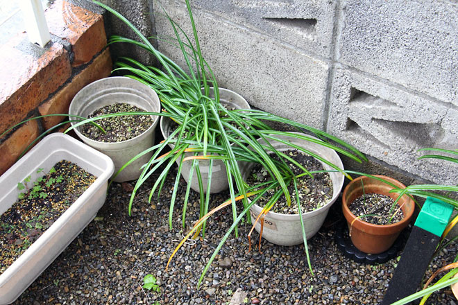 f:id:takahikonojima:20190504181514j:plain