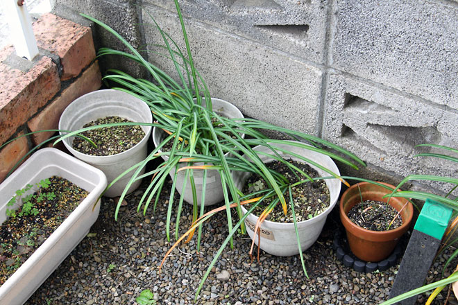 f:id:takahikonojima:20190504181543j:plain