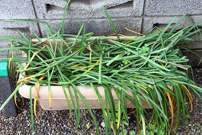 f:id:takahikonojima:20190504181548j:plain