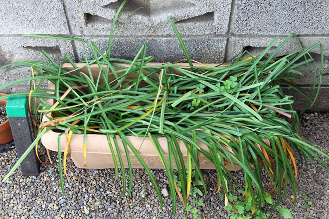 f:id:takahikonojima:20190504181602j:plain