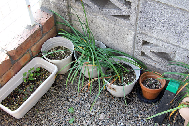 f:id:takahikonojima:20190504181609j:plain