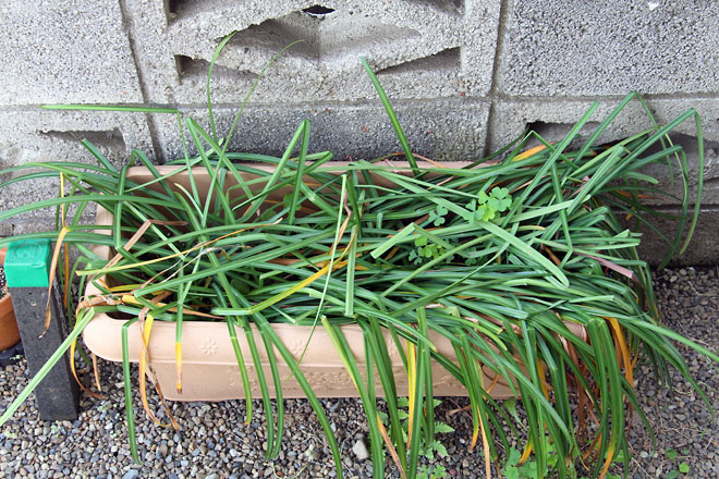 f:id:takahikonojima:20190504181615j:plain