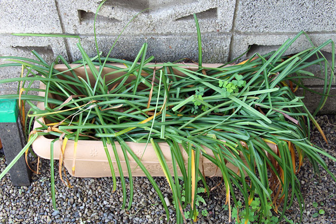 f:id:takahikonojima:20190511134159j:plain