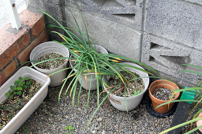 f:id:takahikonojima:20190518081924j:plain