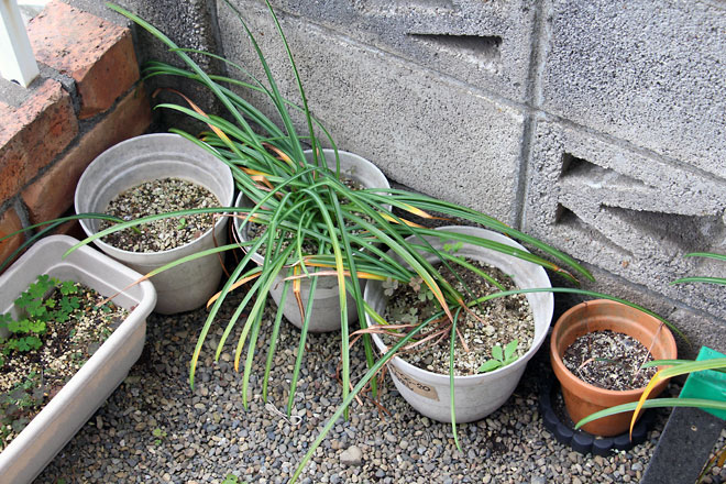 f:id:takahikonojima:20190518081936j:plain