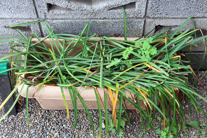 f:id:takahikonojima:20190518081942j:plain