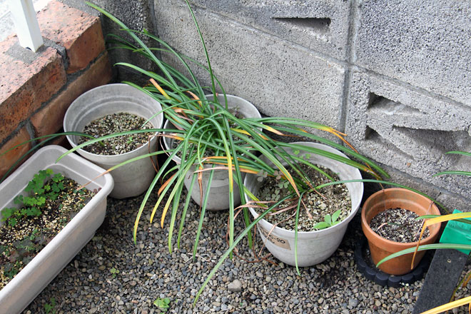 f:id:takahikonojima:20190518081949j:plain