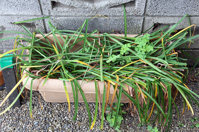 f:id:takahikonojima:20190518081956j:plain