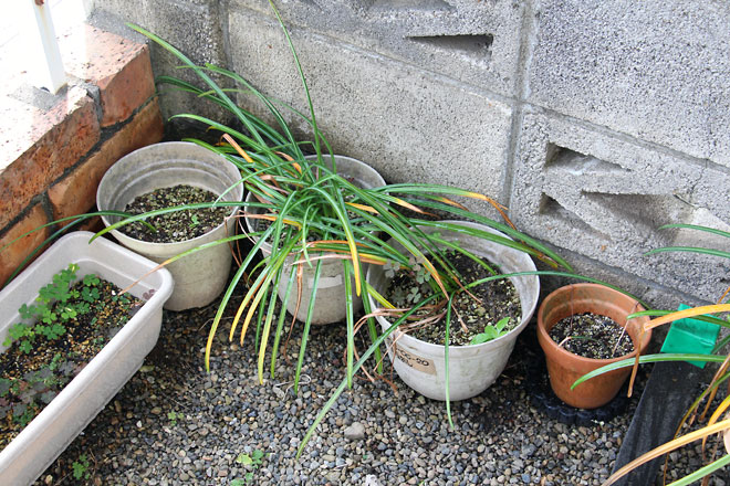 f:id:takahikonojima:20190518082005j:plain