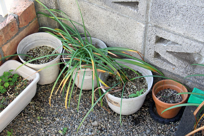 f:id:takahikonojima:20190518082016j:plain