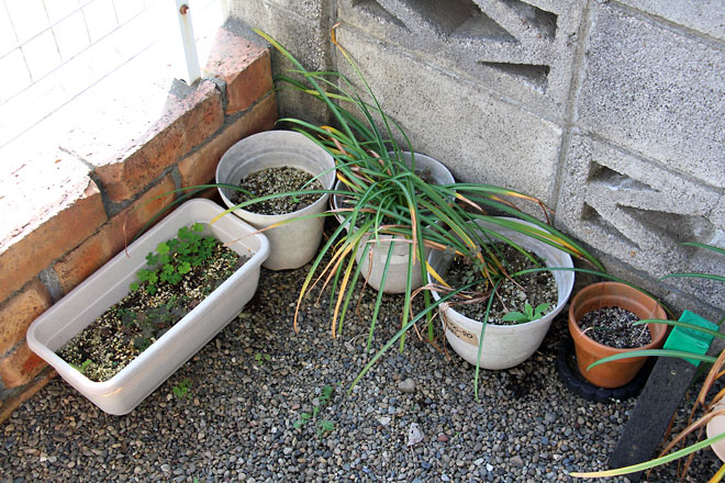 f:id:takahikonojima:20190518082029j:plain