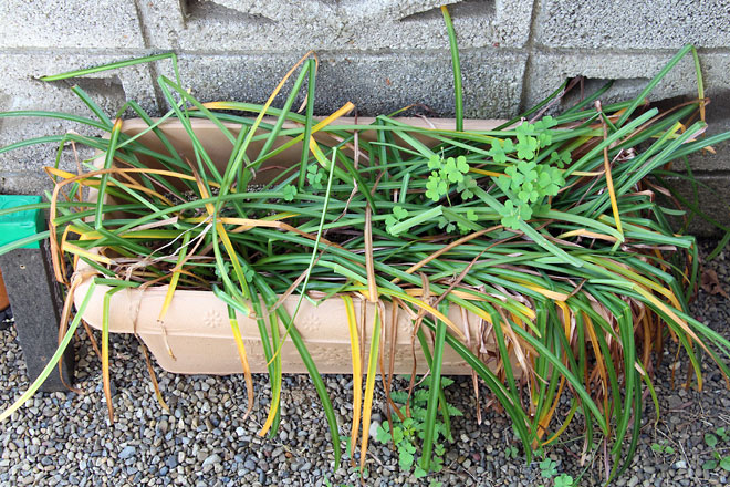 f:id:takahikonojima:20190518082034j:plain