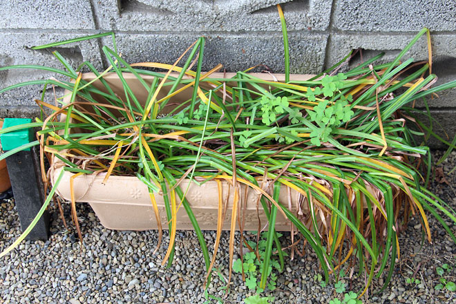 f:id:takahikonojima:20190518082045j:plain