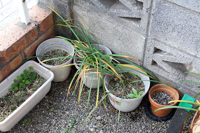 f:id:takahikonojima:20190526082857j:plain