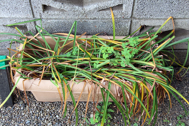 f:id:takahikonojima:20190526082902j:plain