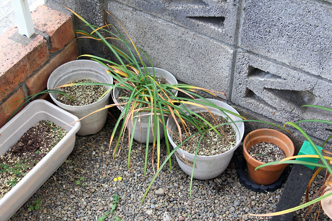 f:id:takahikonojima:20190526082907j:plain