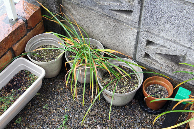 f:id:takahikonojima:20190526082918j:plain