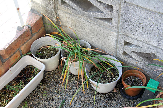 f:id:takahikonojima:20190526082930j:plain