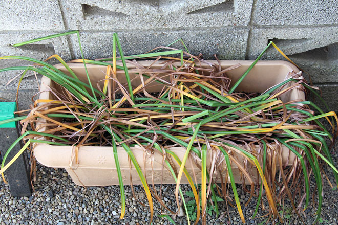 f:id:takahikonojima:20190526082934j:plain