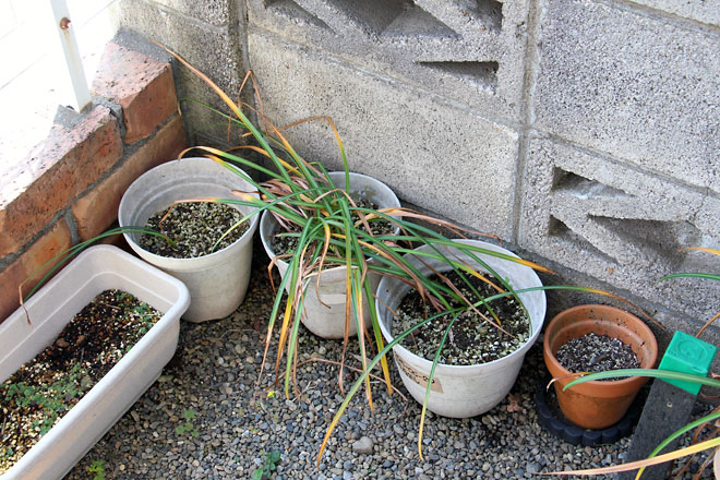 f:id:takahikonojima:20190526082941j:plain