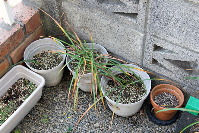 f:id:takahikonojima:20190526083001j:plain