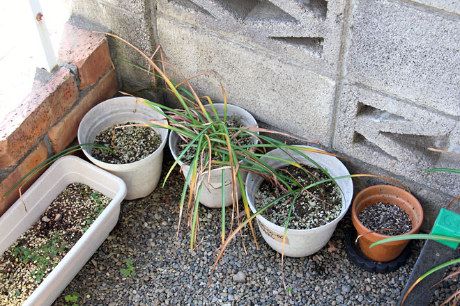 f:id:takahikonojima:20190601104126j:plain