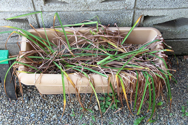 f:id:takahikonojima:20190601104132j:plain