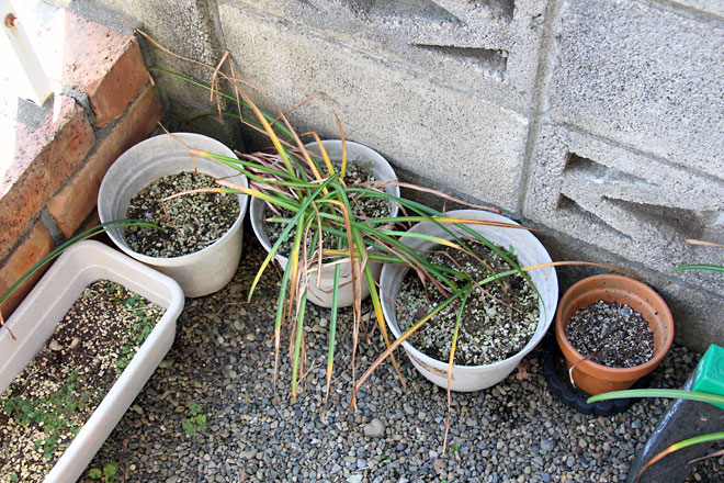 f:id:takahikonojima:20190601104137j:plain