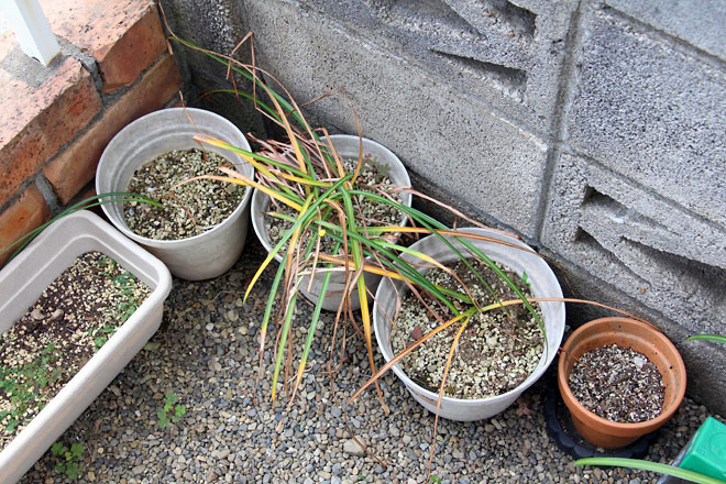 f:id:takahikonojima:20190601104147j:plain