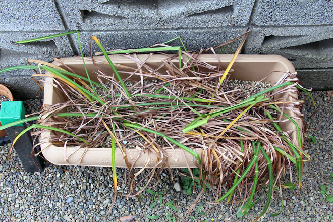 f:id:takahikonojima:20190601104154j:plain