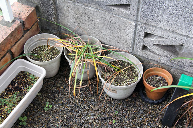 f:id:takahikonojima:20190601104200j:plain