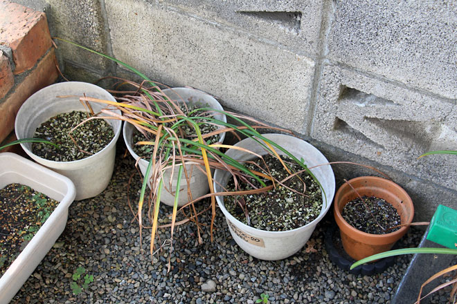 f:id:takahikonojima:20190601104210j:plain