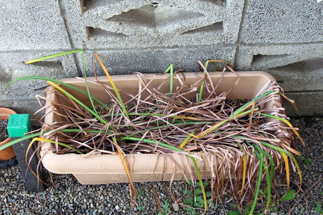 f:id:takahikonojima:20190601104214j:plain