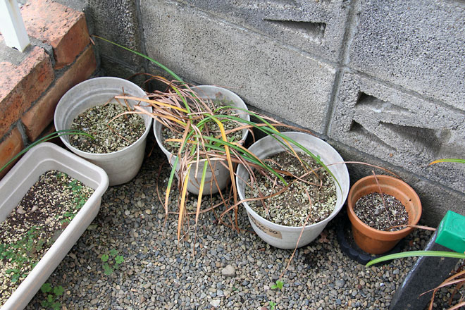 f:id:takahikonojima:20190601104225j:plain