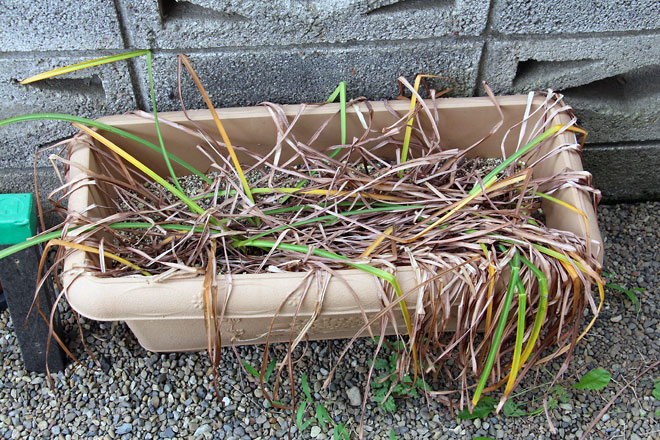 f:id:takahikonojima:20190601104327j:plain