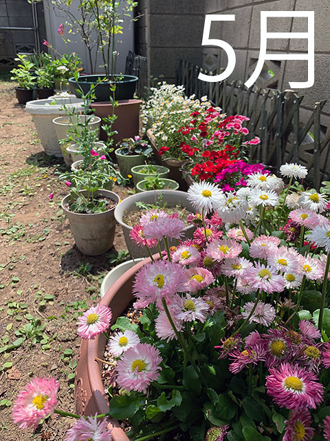 f:id:takahikonojima:20190607190006j:plain
