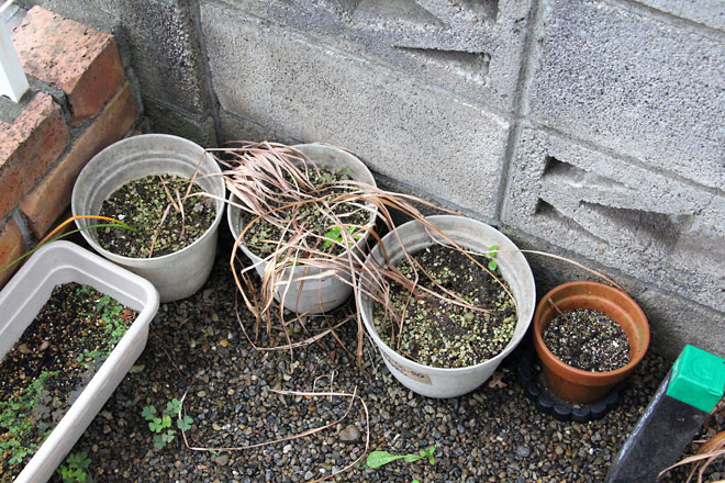 f:id:takahikonojima:20190615192152j:plain