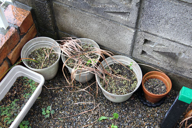 f:id:takahikonojima:20190615192208j:plain