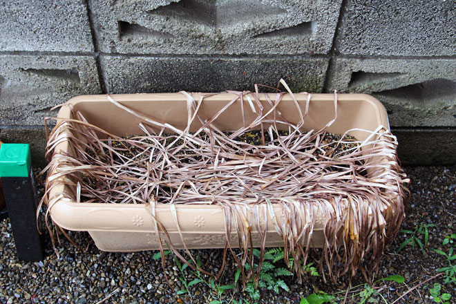 f:id:takahikonojima:20190615192214j:plain