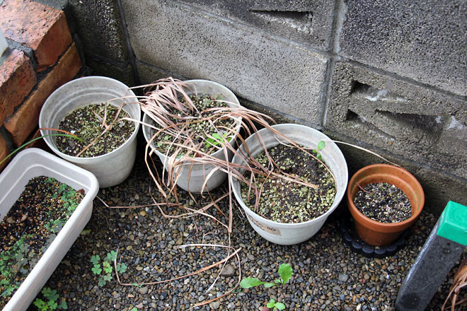 f:id:takahikonojima:20190615192219j:plain