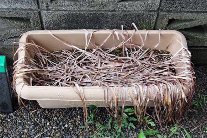 f:id:takahikonojima:20190615192224j:plain