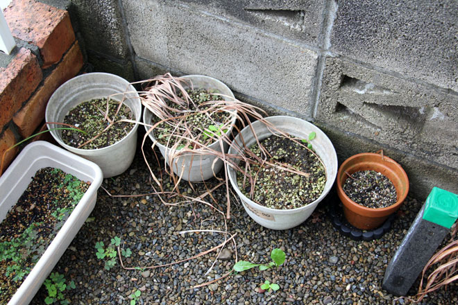 f:id:takahikonojima:20190615192229j:plain