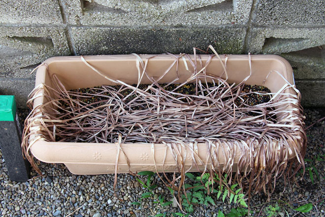 f:id:takahikonojima:20190615192245j:plain