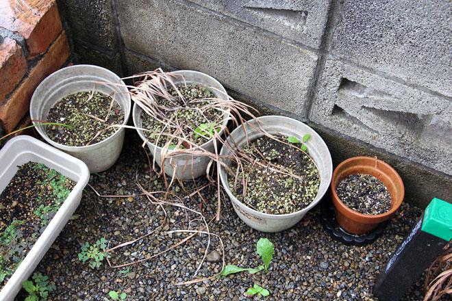 f:id:takahikonojima:20190615192303j:plain