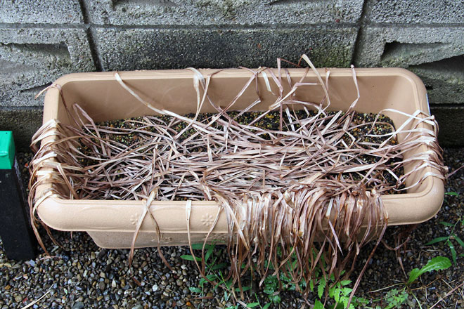 f:id:takahikonojima:20190615192308j:plain