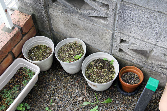 f:id:takahikonojima:20190629190358j:plain