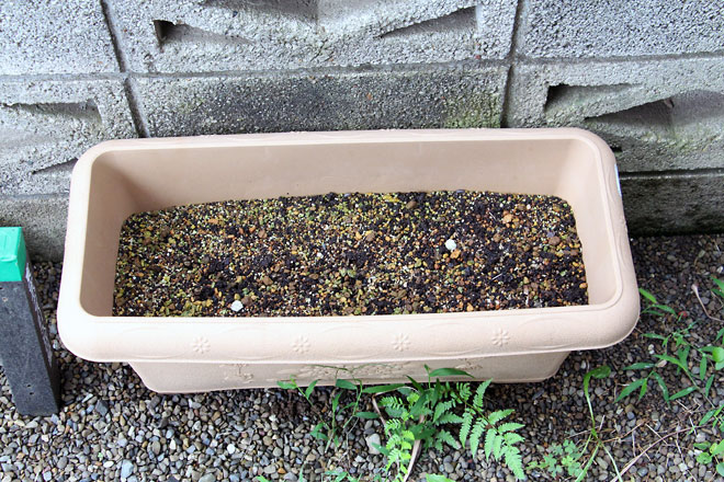 f:id:takahikonojima:20190629190407j:plain