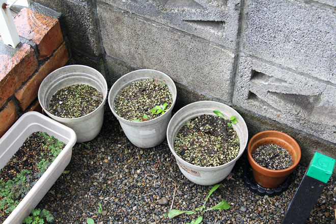 f:id:takahikonojima:20190629190412j:plain