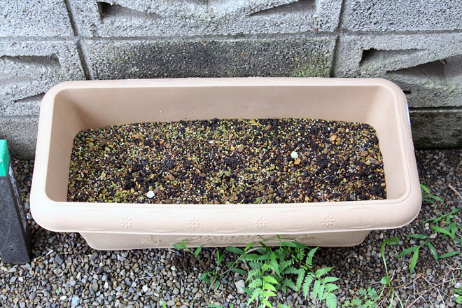 f:id:takahikonojima:20190629190432j:plain